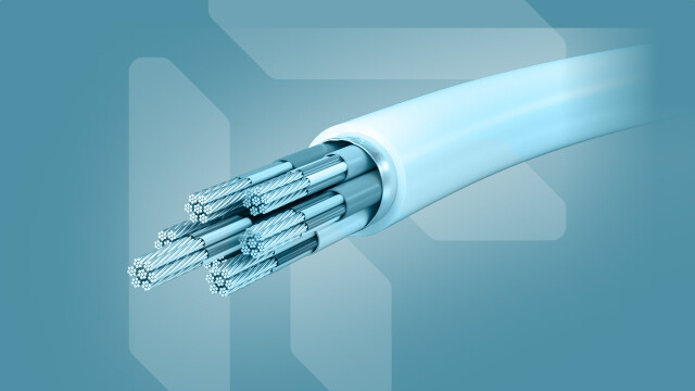 Electrical Wiring Interconnection System (EWIS) Target Groups 1 to 8 Continuation/Recurrent Training